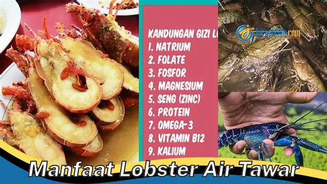 Temukan 6 Manfaat Lobster Air Tawar yang Jarang Diketahui
