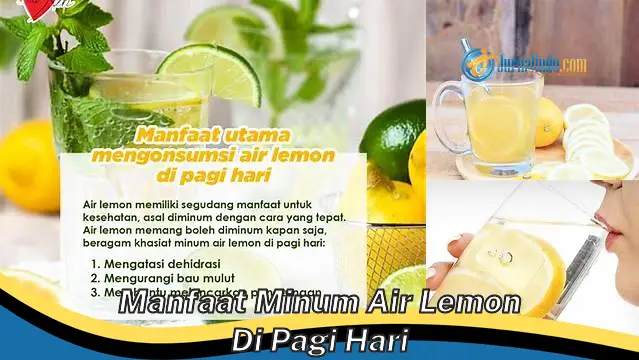 6 Manfaat Minum Air Lemon di Pagi Hari yang Jarang Diketahui
