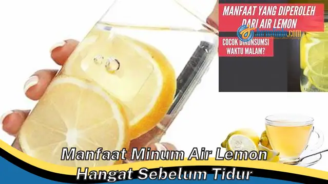 Kupas Tuntas Manfaat Minum Air Lemon Hangat Sebelum Tidur yang Belum Banyak Diketahui