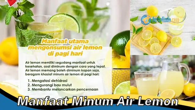 6 Manfaat Minum Air Lemon yang Jarang Diketahui
