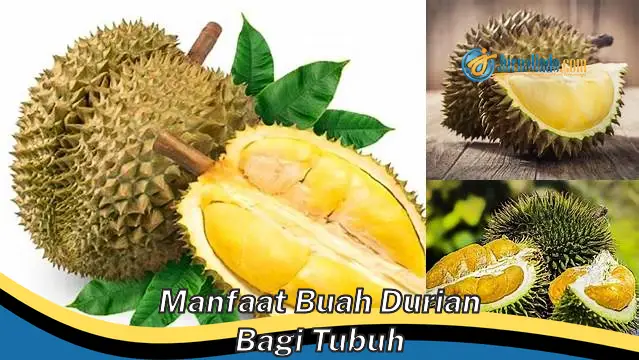 Temukan 6 Manfaat Buah Durian yang Jarang Diketahui