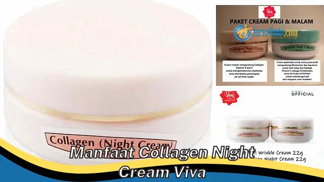 Temukan Khasiat Collagen Night Cream Viva yang Jarang Diketahui