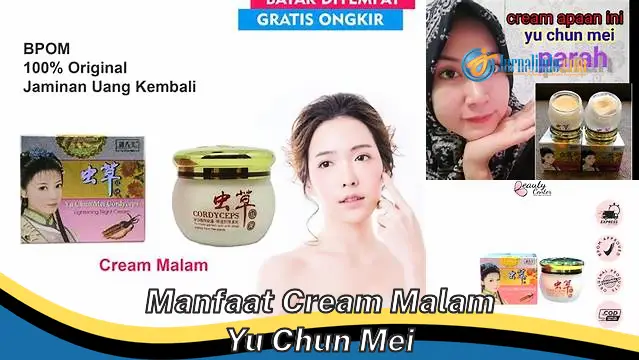 Temukan Manfaat Cream Malam Yu Chun Mei yang Jarang Diketahui