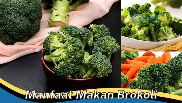 Temukan Manfaat Makan Brokoli yang Harus Anda Ketahui
