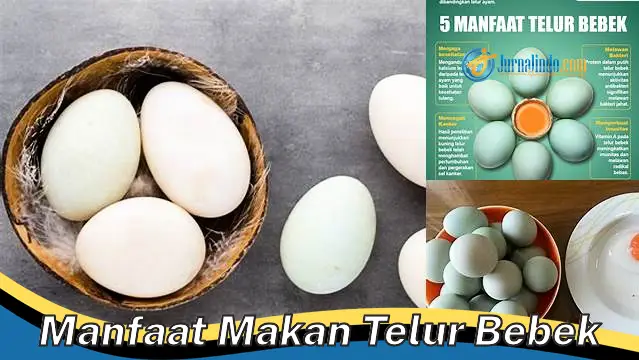 Temukan Manfaat Telur Bebek yang Jarang Diketahui