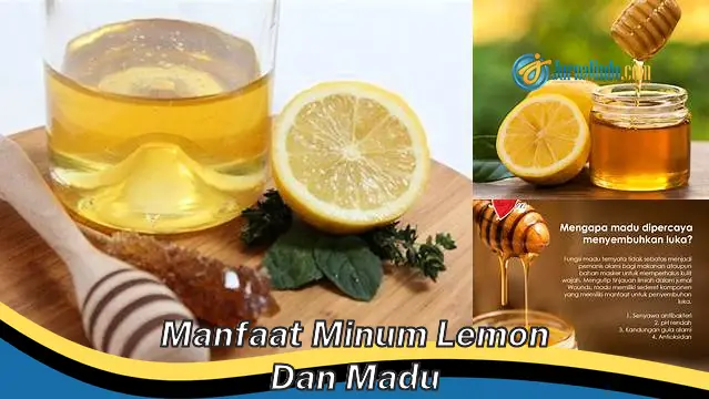 Temukan Rahasia 6 Manfaat Minum Lemon dan Madu yang Jarang Diketahui