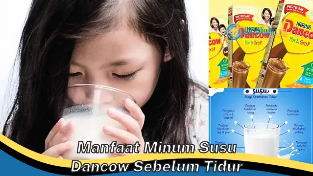 Unveil the Undiscovered Benefits of Drinking Dancow Milk Before Bedtime