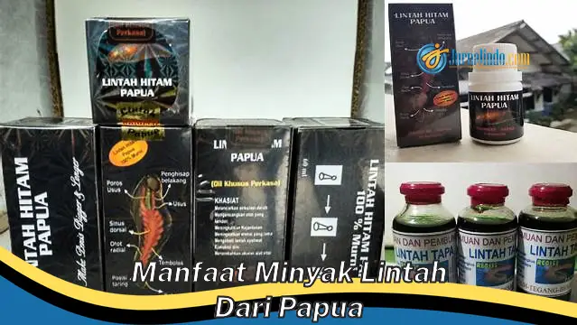 Temukan 6 Manfaat Minyak Lintah Papua yang Jarang Diketahui