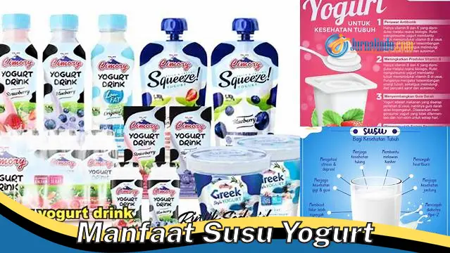Temukan 6 Manfaat Susu Yoghurt yang Jarang Diketahui