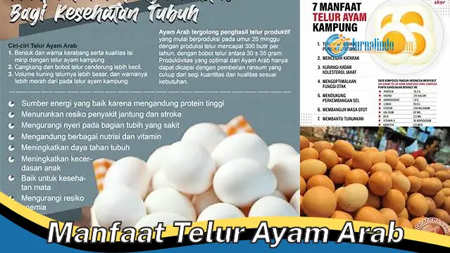 Temukan Manfaat Telur Ayam Arab yang Jarang Diketahui
