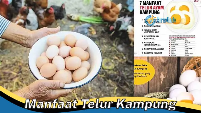 Temukan 5 Manfaat Telur Kampung yang Jarang Diketahui