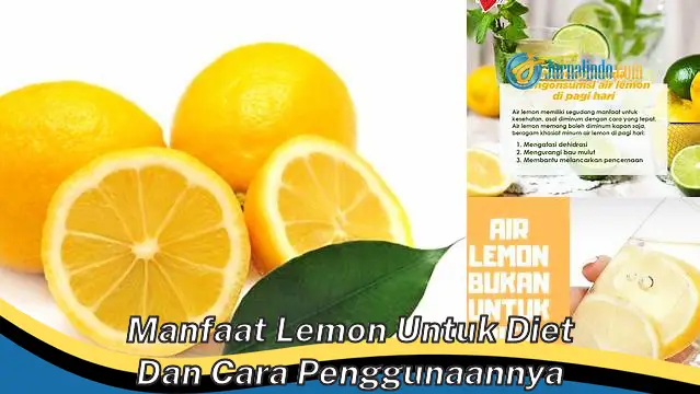 Temukan Khasiat Lemon untuk Diet yang Jarang Diketahui