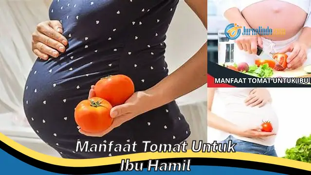 Temukan Rahasia Tersembunyi Tomat: 6 Manfaat Mengejutkan untuk Ibu Hamil