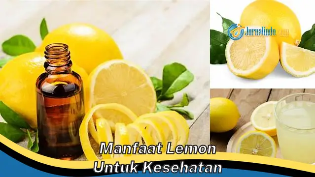 Temukan 6 Manfaat Lemon untuk Kesehatan yang Jarang Diketahui