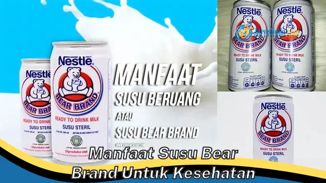 Temukan Manfaat Susu Bear Brand untuk Kesehatan yang Jarang Diketahui