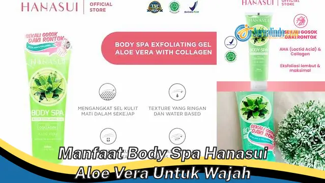 Temukan 6 Manfaat Body Spa Hanasui Aloe Vera untuk Wajah yang Jarang Diketahui