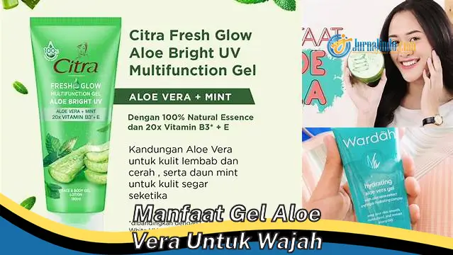 Temukan Manfaat Gel Aloe Vera untuk Wajah yang Perlu Anda Ketahui