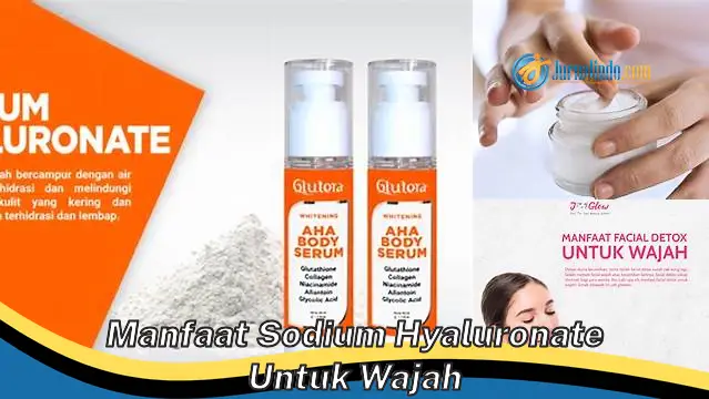 Temukan 6 Manfaat Sodium Hyaluronate untuk Wajah yang Jarang Diketahui