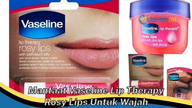 6 Manfaat Vaseline Lip Therapy Rosy Lips untuk Wajah yang Jarang Diketahui